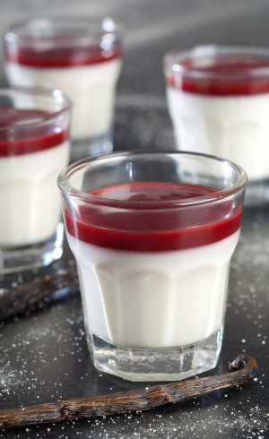 Panacotta vanille