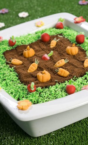 Brownie Potager De Paques Alsa Brownie Potager De Paques Alsa