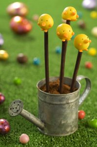 Alsa Recette Cakepops Poussins (V)