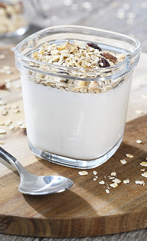 YAOURT MAISON AU MUESLI